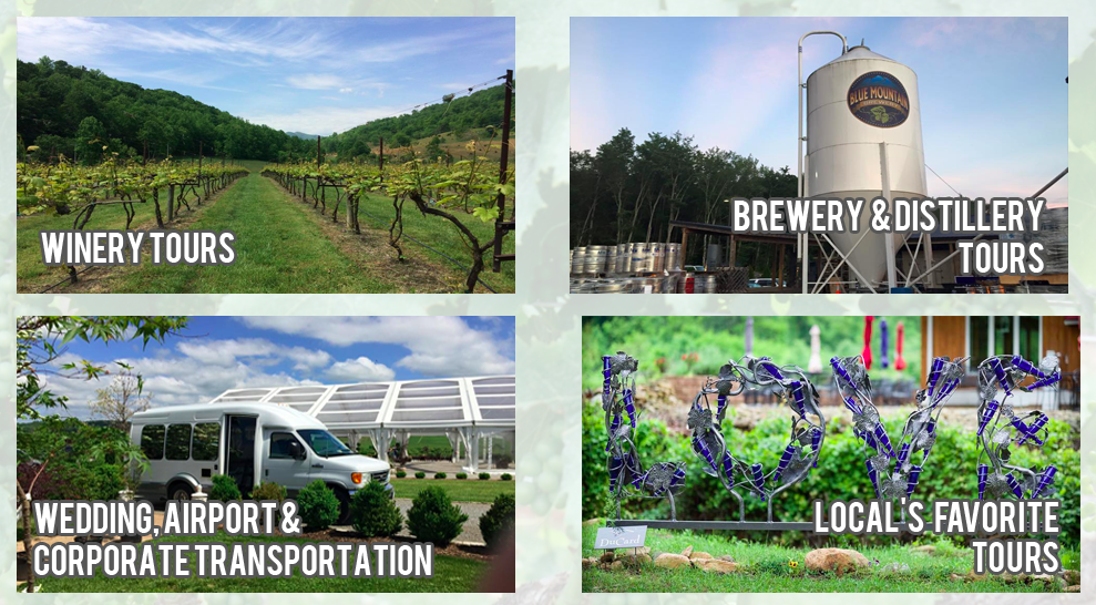 Explore Charlottesville area with Central Virginia Wine Tours during your Guesthouses stay