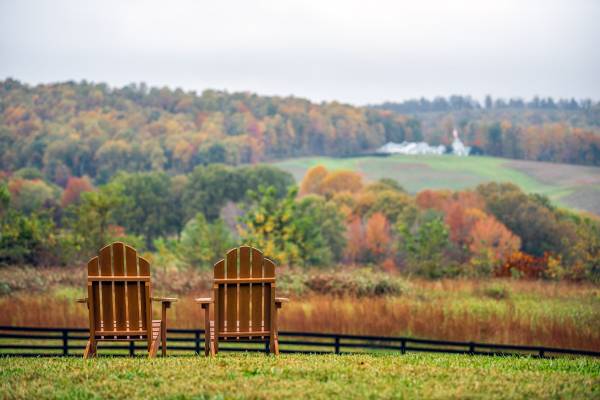 Adirondack chairs at a Virginia winery