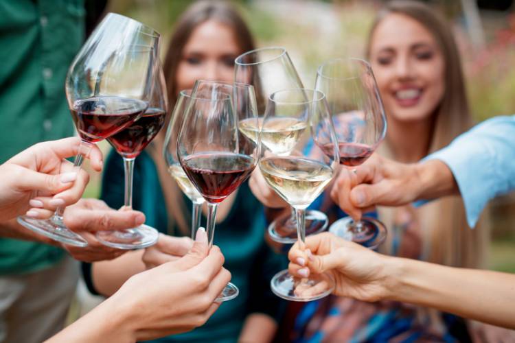 A group of friends sip wine together