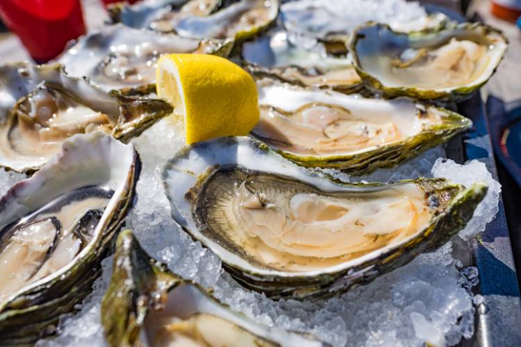 Raw oysters on ice