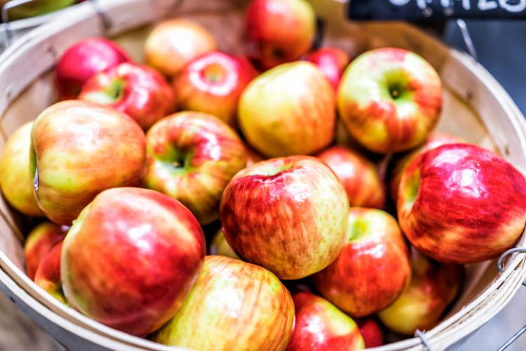 Apples at a cidery