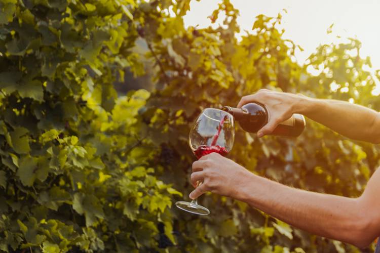 A man pours a glass of wine