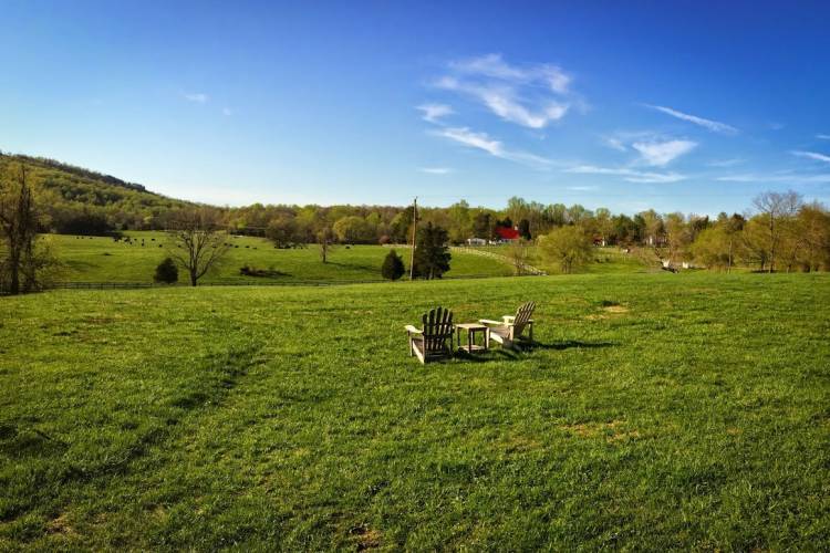 Two Adirondack chairs at a Charlottesville winery