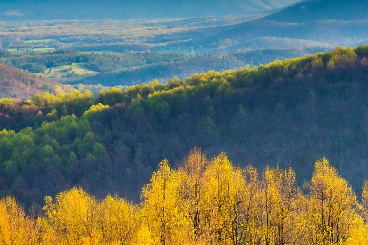 The fall colors in the Blue Ridge Mountains