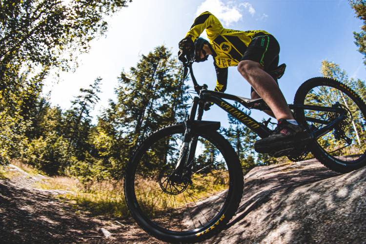 Cavalier MTB Classic