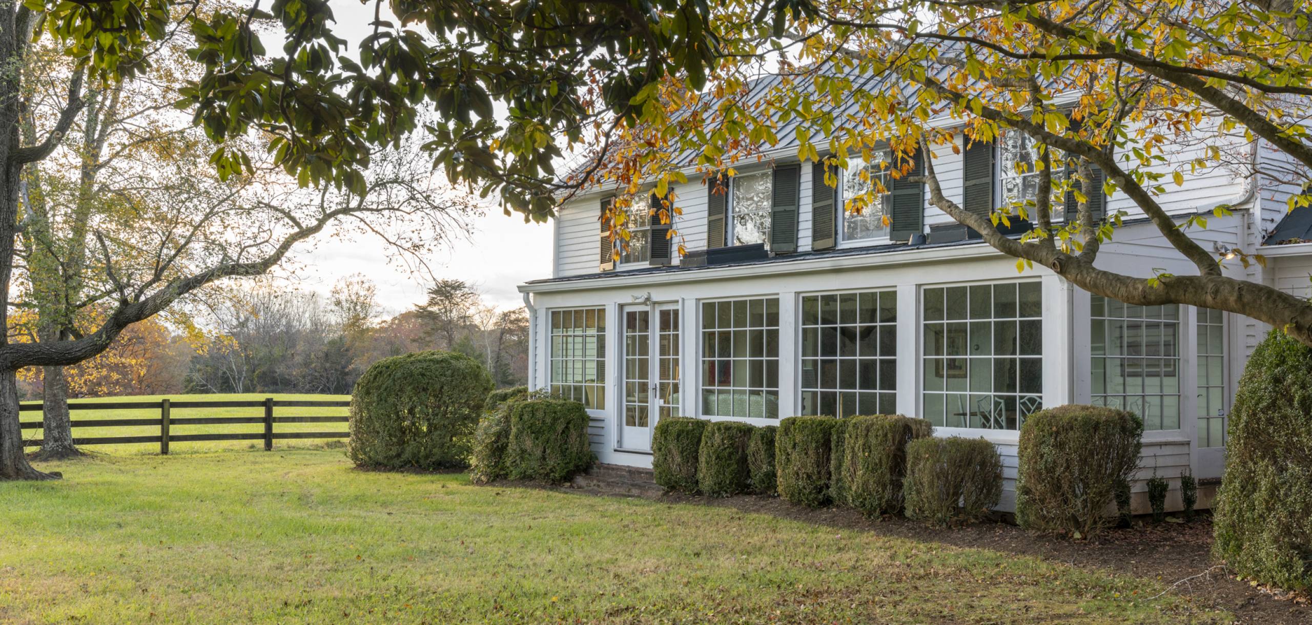 Farlea Photo of Farlea from the backyard