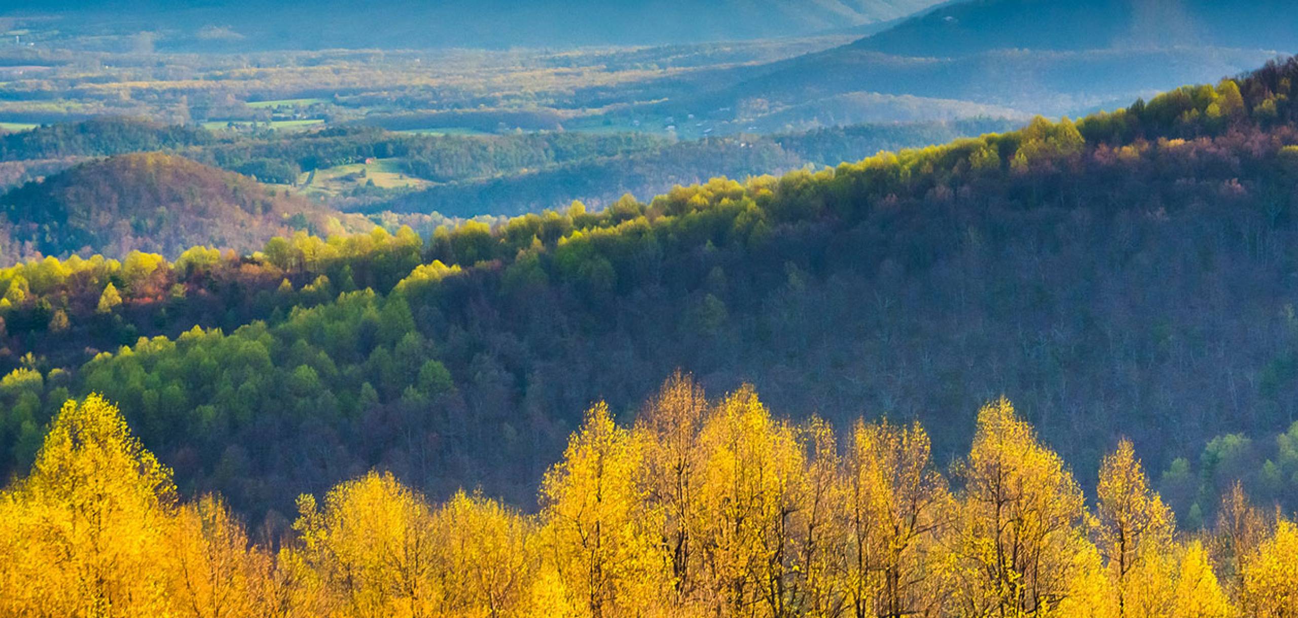 The fall colors in the Blue Ridge Mountains