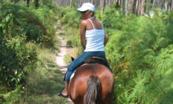 Trail Ride Trail Ride in Charlottesville, VA