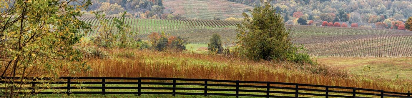 A view of the rolling hills outside of Charlottesville