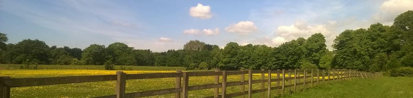 Scenic view of a field and forest in Charlottesville, VA with the blue sky and clouds hanging over it